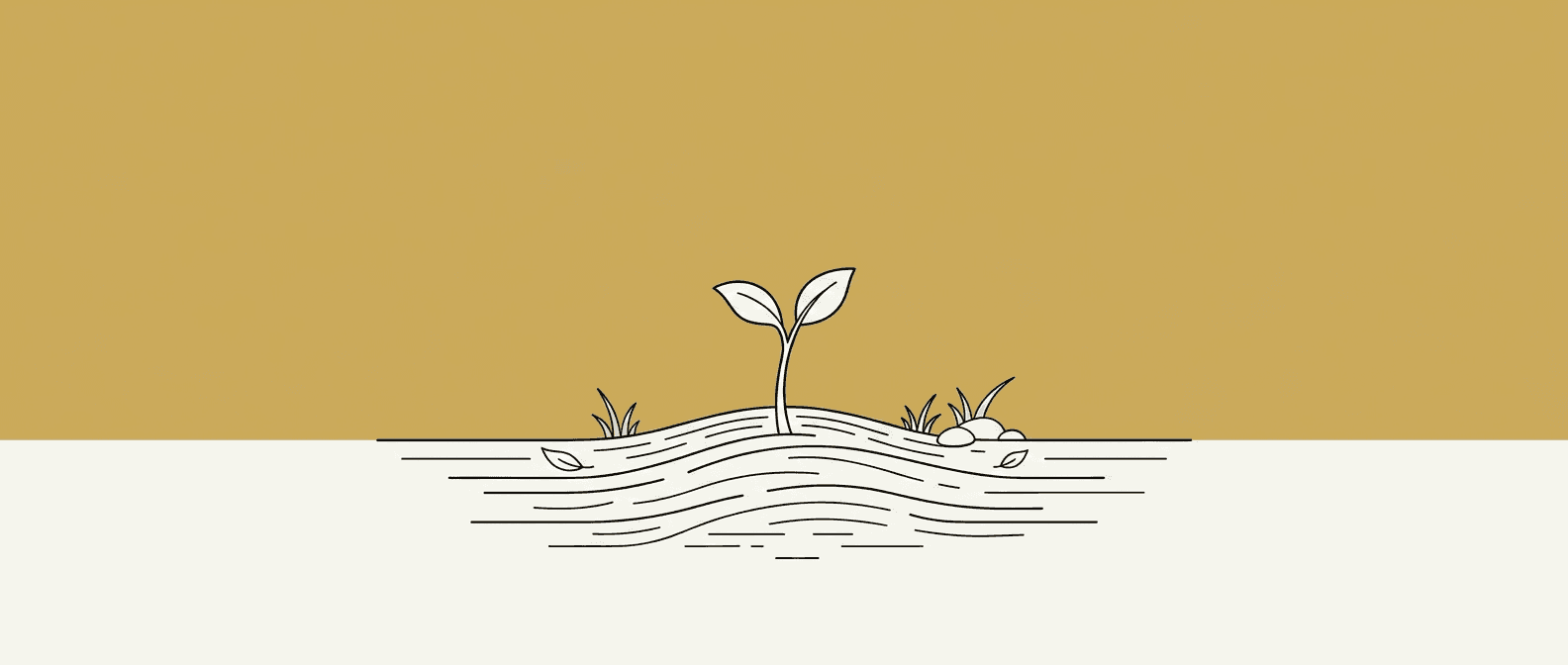 Direct Burial